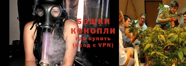 ALPHA PVP Остров